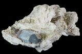 Aquamarine/Morganite Crystal in Albite Crystal Matrix - Pakistan #111366-1